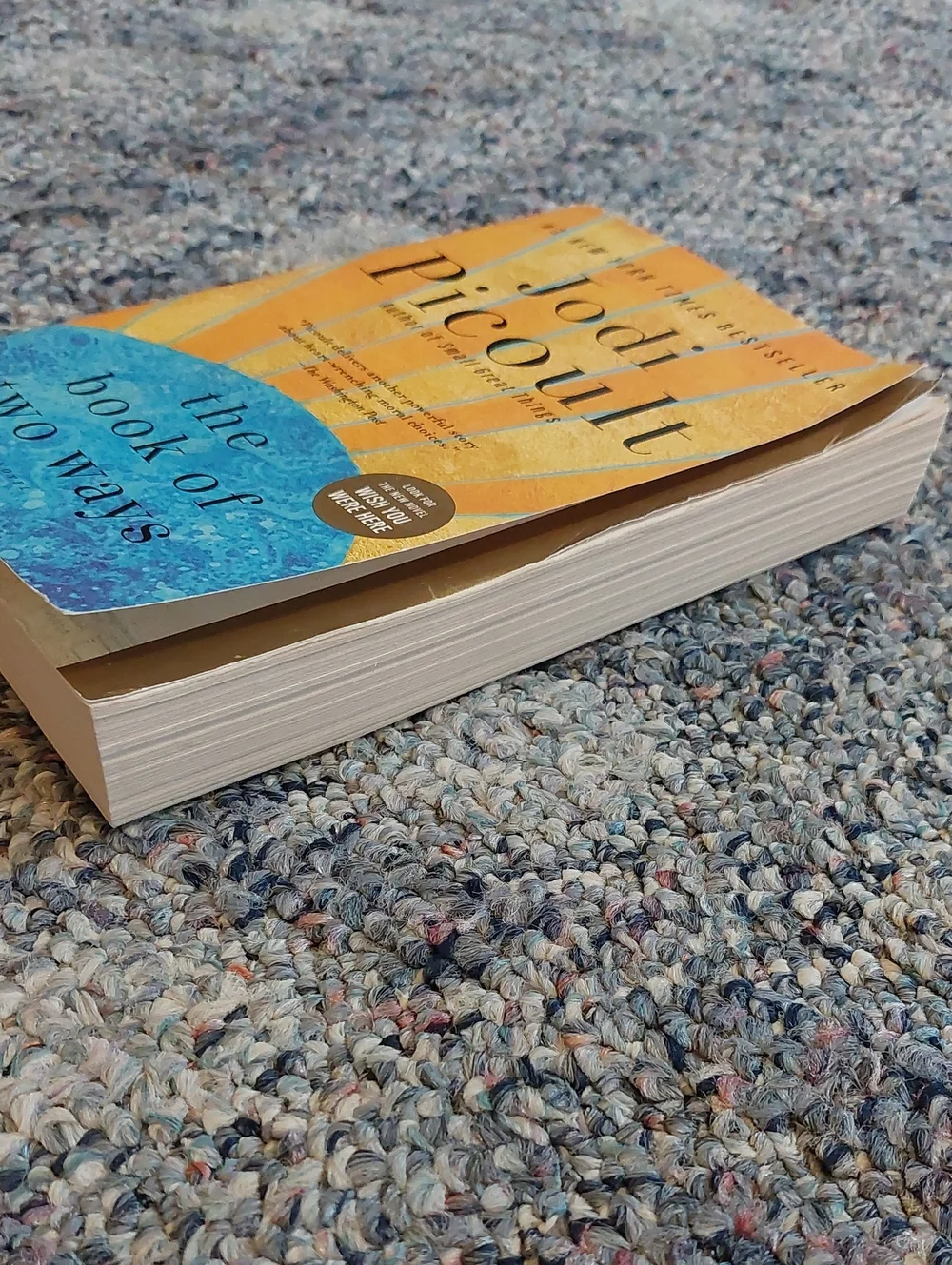 😮 3/$10! The Book of Two Ways - By Jodi Picoult
